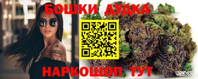 индика Комсомольск-на-Амуре