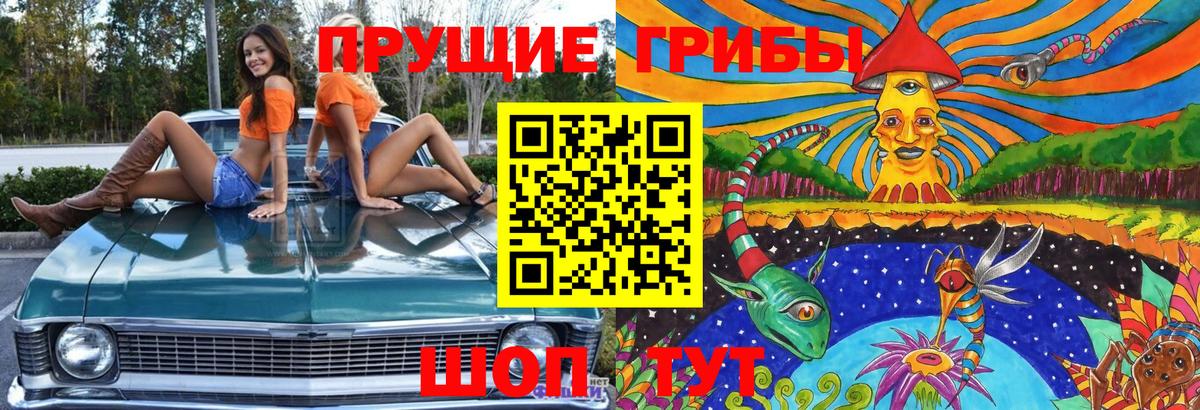 Галлюциногенные грибы Psilocybe Конаково